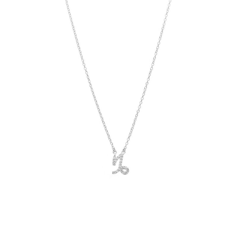 Silk & Steel Capricorn Necklace image number 0